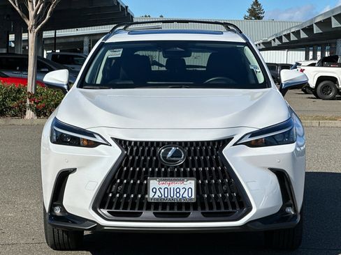 Used 2025 Lexus NX 350h AWD w/ Cold Area Package image 9
