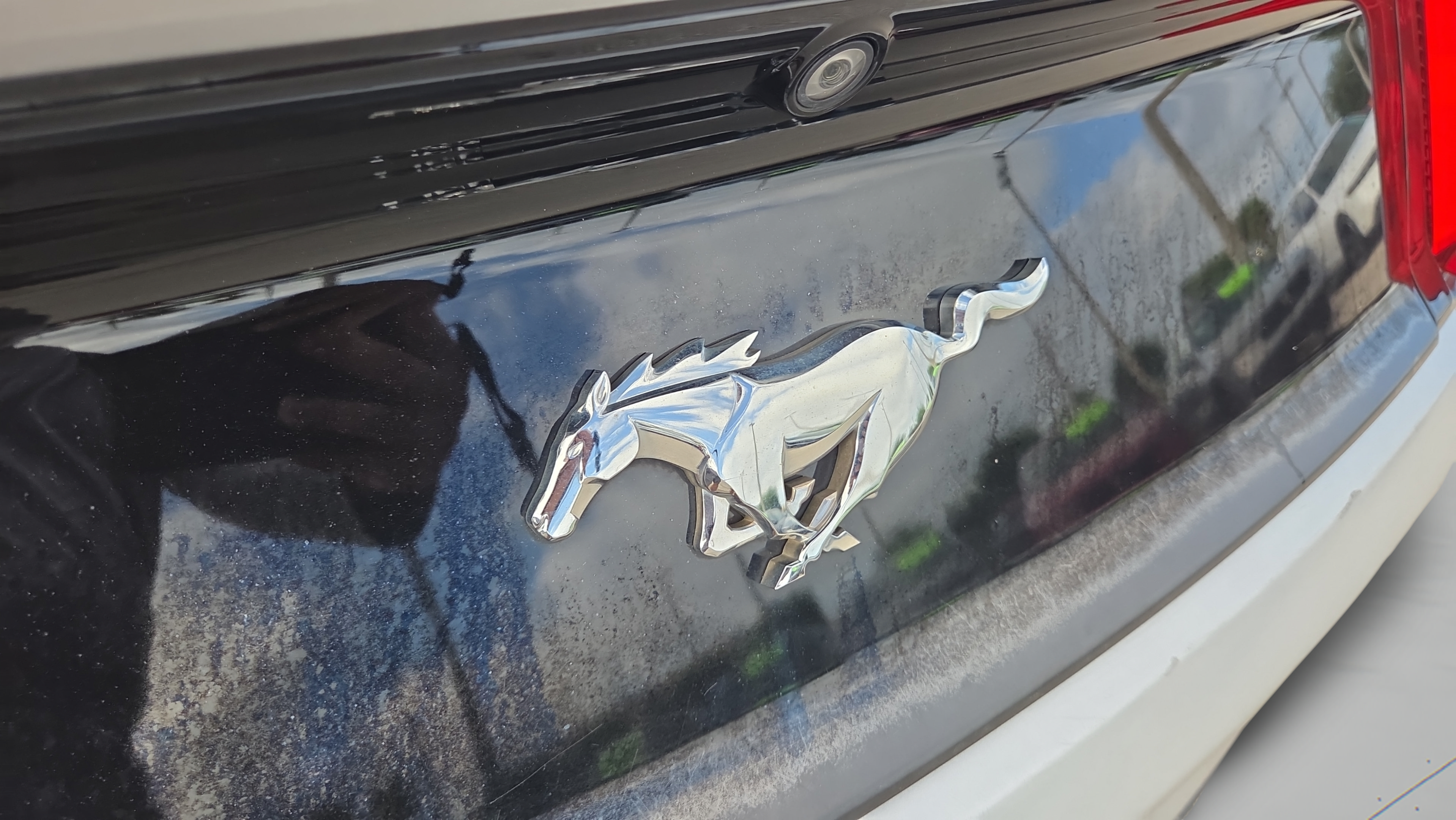 Used 2016 Ford Mustang Premium RWD image 13