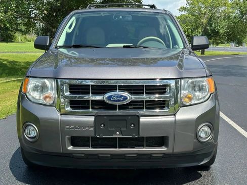 Used 2011 Ford Escape XLT w/ 203A Rapid Spec Order Code image 3