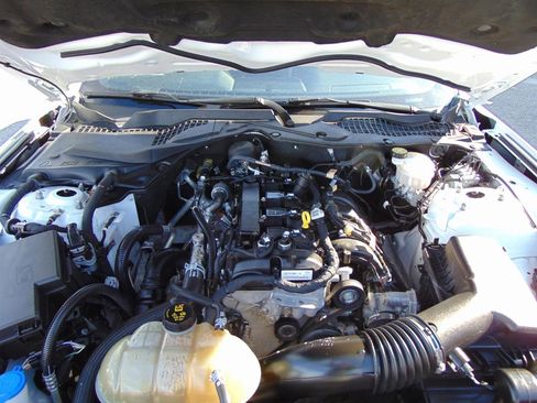 Used 2021 Ford Mustang Coupe w/ Equipment Group 101A image 29