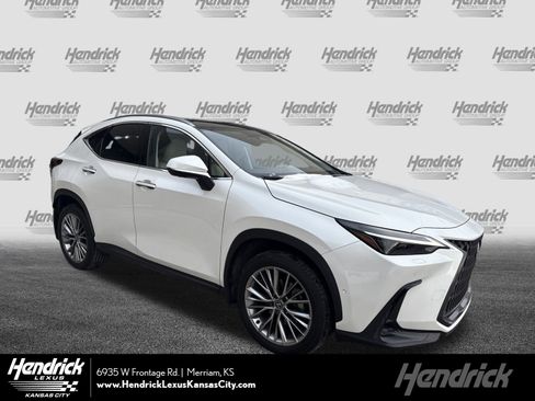 Certified 2025 Lexus NX 350 350 Luxury image 1