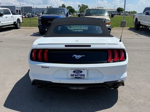 Used 2023 Ford Mustang Premium w/ Equipment Group 201A RWD image 33