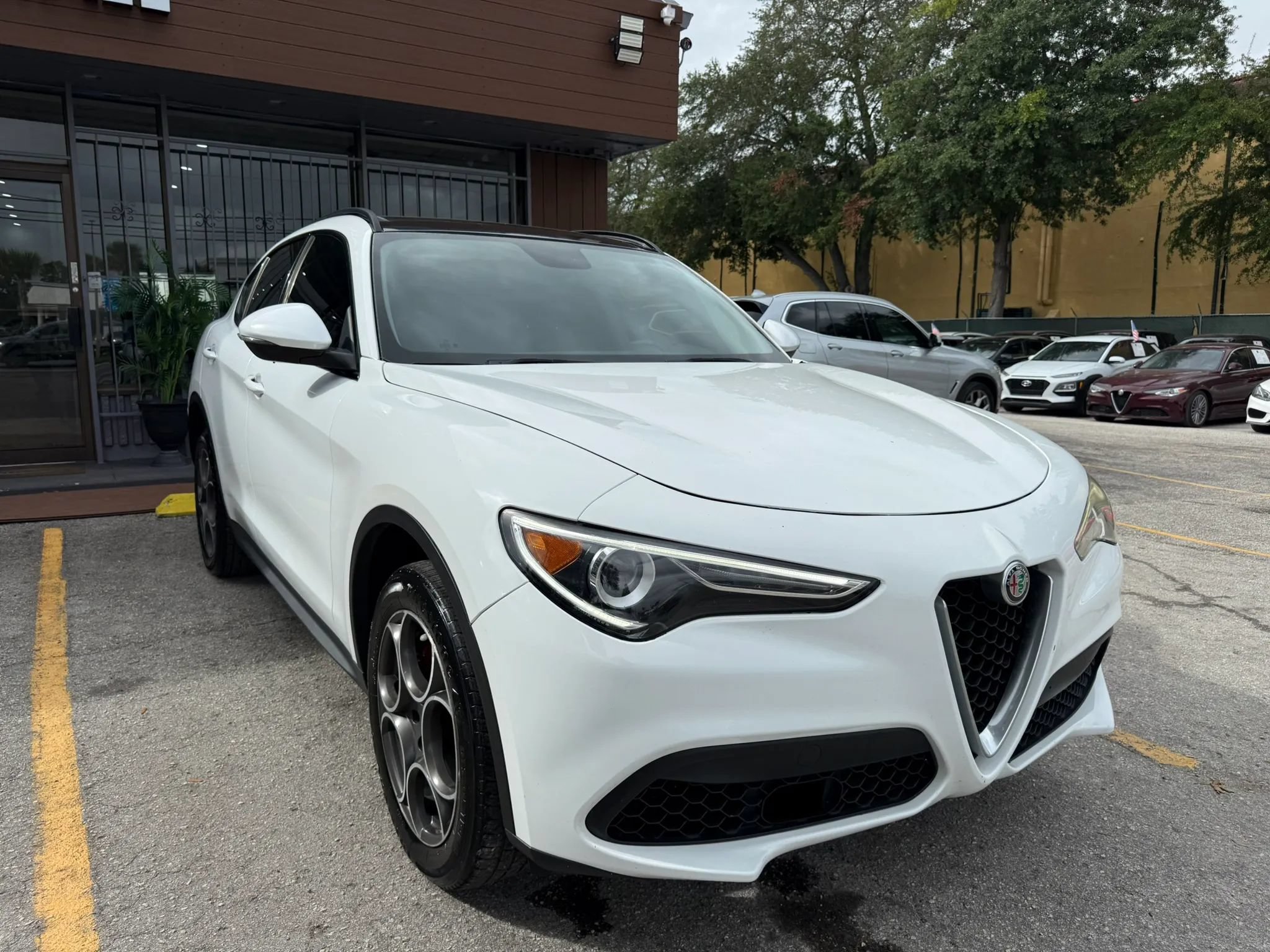 Used 2019 Alfa Romeo Stelvio Sport w/ Quick Order Package 22K Sport RWD image 3