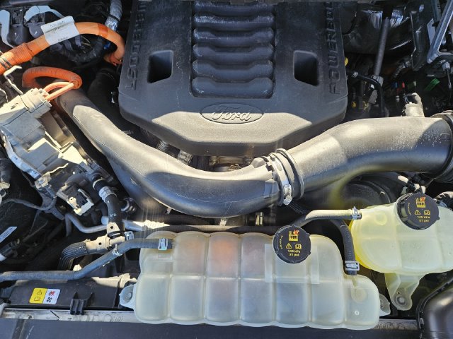 Used 2021 Ford F150 King Ranch w/ Equipment Group 601A High AWD/4WD image 30