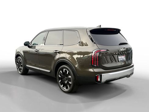 Certified 2024 Kia Telluride SX Prestige image 3