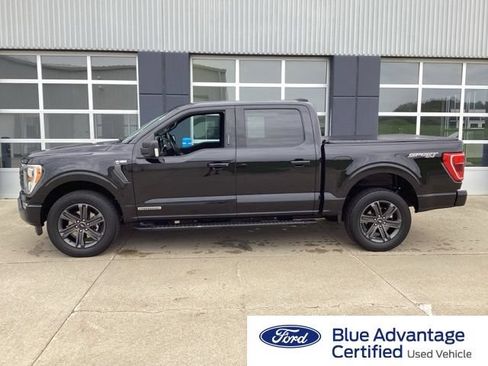 Used 2023 Ford F150 XLT w/ Equipment Group 302A High AWD/4WD image 1