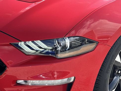 Used 2021 Ford Mustang GT w/ Equipment Group 301A image 6