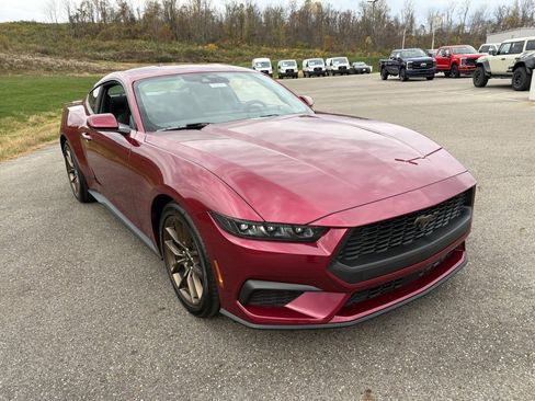 New 2026 Ford Mustang Coupe w/ Bronze Appearance Package image 7