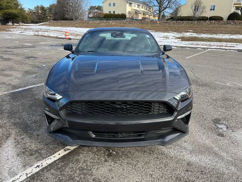 Used 2022 Ford Mustang Coupe w/ Equipment Group 101A image 3