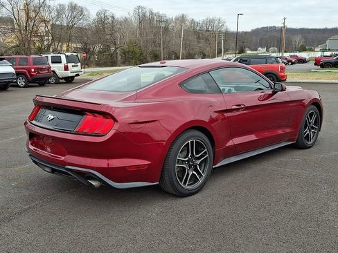 Used 2018 Ford Mustang Premium image 7