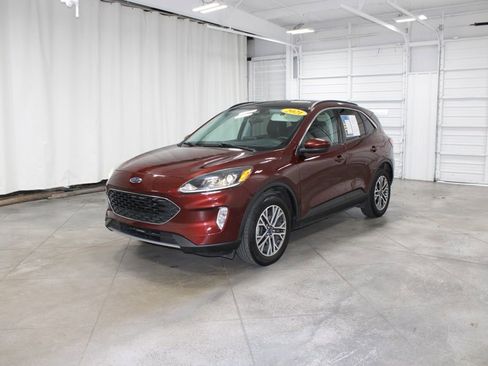 Used 2021 Ford Escape SEL image 4