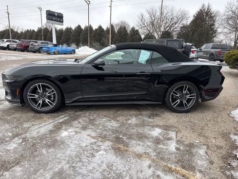 Used 2025 Ford Mustang Premium w/ Wheel & Stripe Package image 4