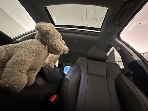 Certified 2025 Subaru Outback Limited image 16