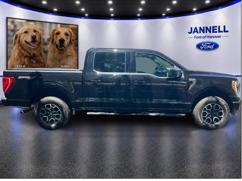 Used 2023 Ford F150 XLT w/ Equipment Group 302A High AWD/4WD image 4