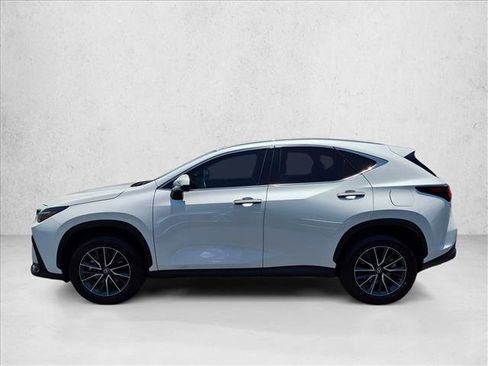 Certified 2025 Lexus NX 250 FWD w/ Cold Area Package image 9