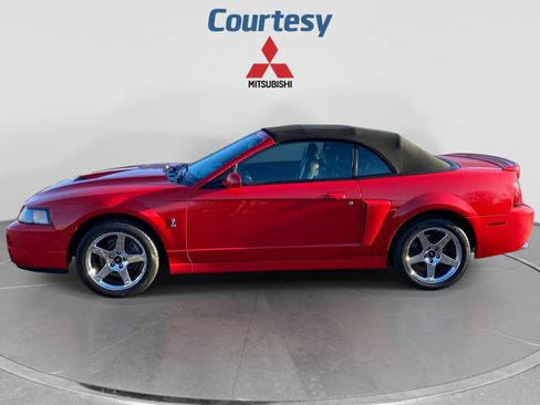Used 2004 Ford Mustang Cobra RWD image 2
