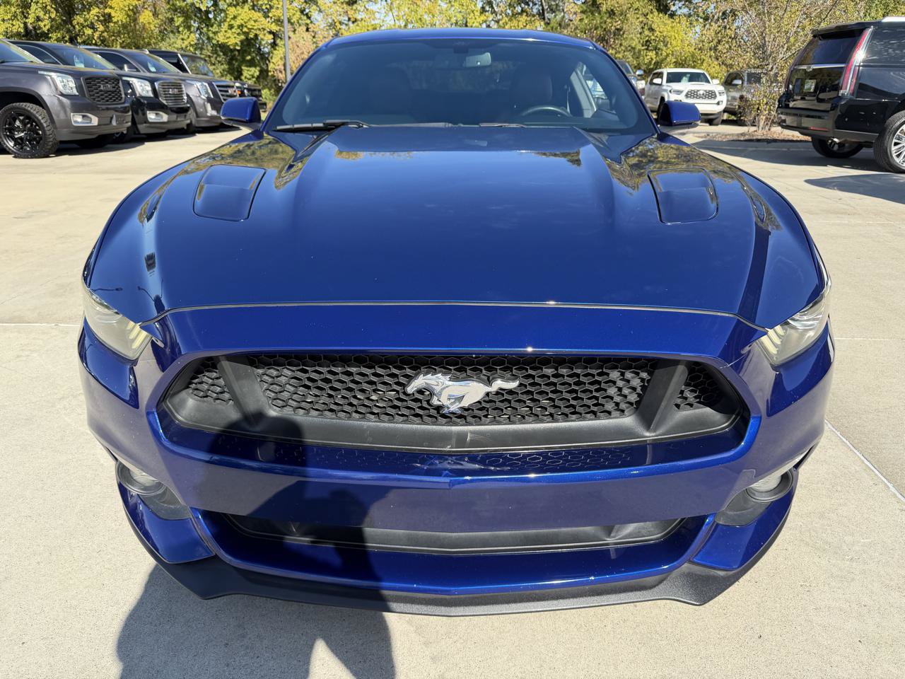 Used 2016 Ford Mustang GT Premium w/ Equipment Group 401A RWD image 2