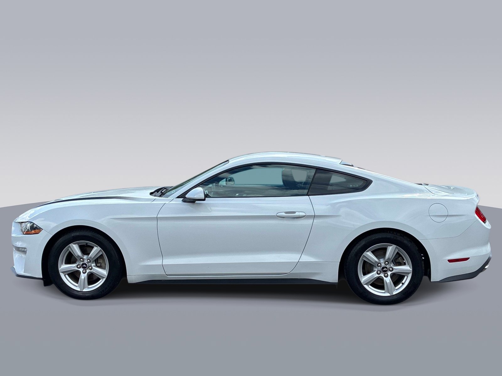 Used 2019 Ford Mustang Coupe RWD image 4