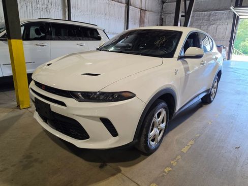 Used 2024 Dodge Hornet GT w/ Cold Weather Group AWD/4WD image 1