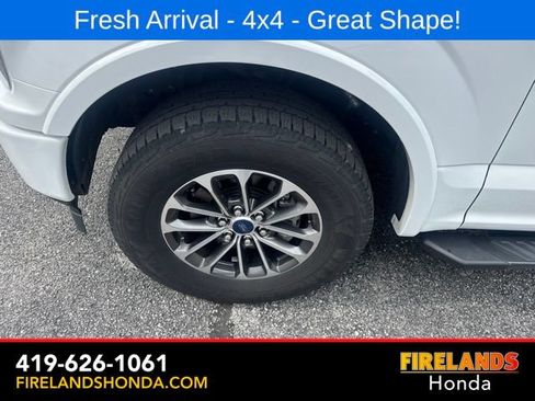 Used 2019 Ford F150 XLT w/ Equipment Group 302A Luxury AWD/4WD image 13