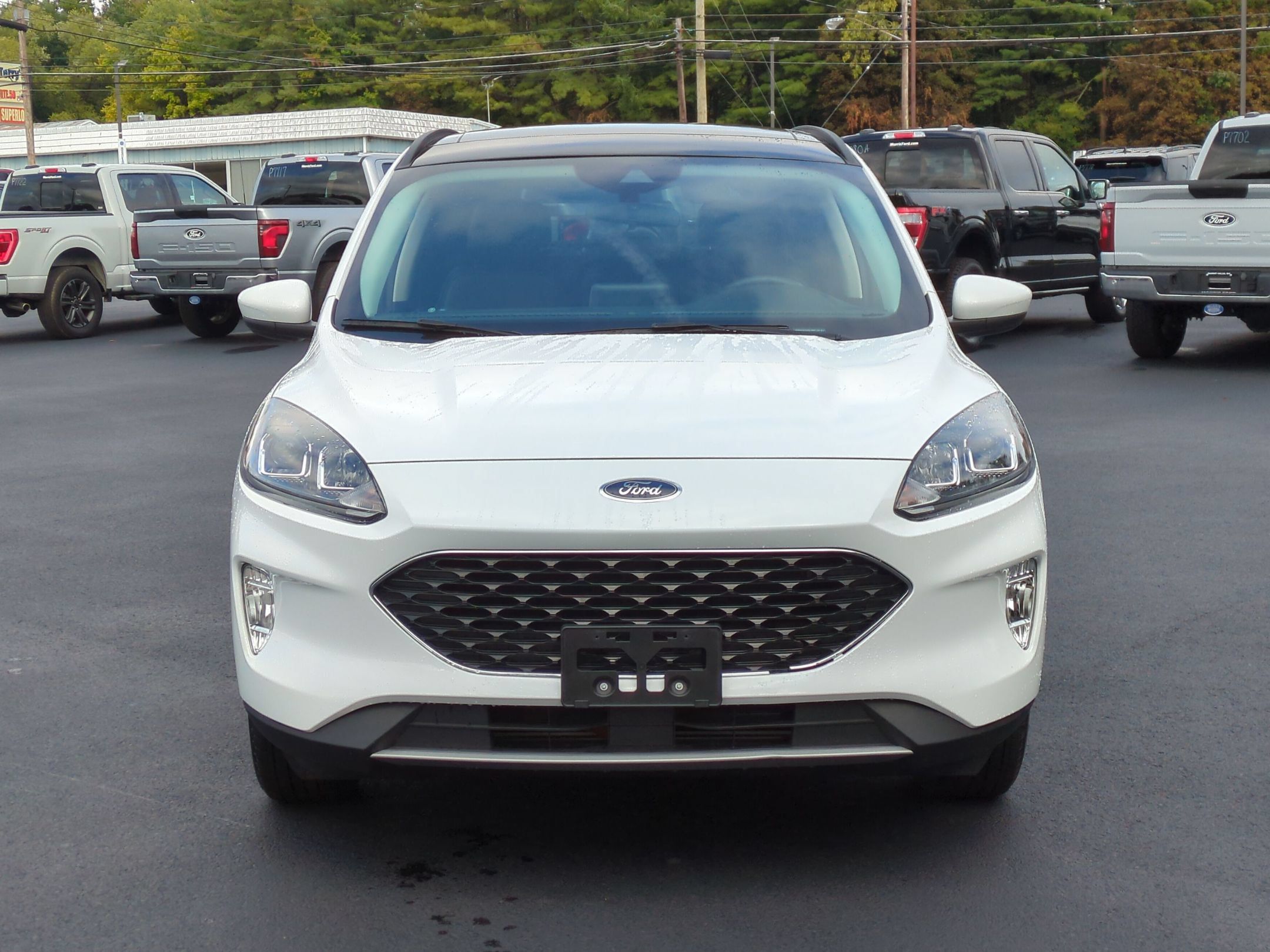Used 2022 Ford Escape SEL w/ Technology Package AWD/4WD image 8