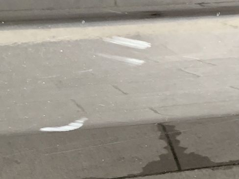 Used 2019 Ford F150 XLT w/ Equipment Group 301A Mid image 47