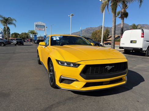 Used 2024 Ford Mustang Premium image 2