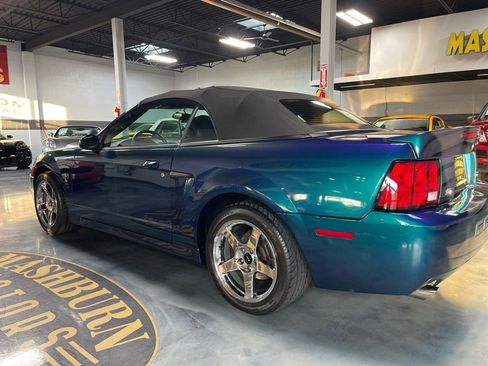 Used 2004 Ford Mustang Cobra image 15
