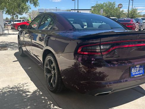 Used 2020 Dodge Charger SXT w/ Blacktop Package RWD image 6