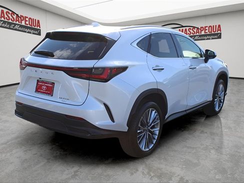 Used 2025 Lexus NX 350h AWD w/ Premium Package image 5