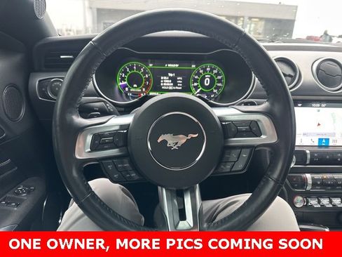 Used 2019 Ford Mustang Premium w/ Equipment Group 201A image 16
