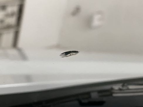 Used 2025 Chevrolet Express 2500 Extended w/ Driver Convenience Package image 28