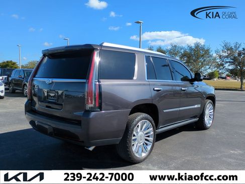 Used 2016 Cadillac Escalade Platinum image 5