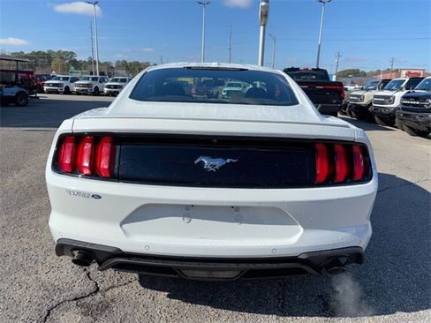 Used 2019 Ford Mustang Coupe w/ Equipment Group 101A image 14