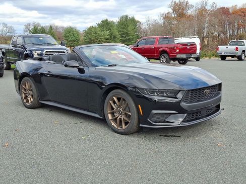 New 2026 Ford Mustang Convertible w/ Bronze Appearance Package image 1