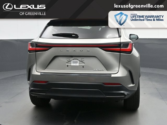 Used 2024 Lexus NX 250 FWD w/ Cold Area Package image 8