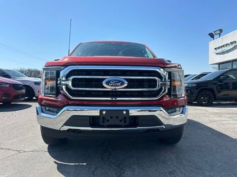 Used 2023 Ford F150 XLT w/ Equipment Group 302A High AWD/4WD image 3