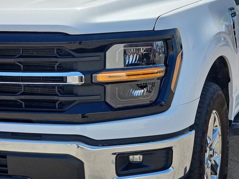 Used 2025 Ford F150 XLT w/ Equipment Group 301A Standard AWD/4WD image 19