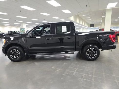 Used 2023 Ford F150 XLT w/ Equipment Group 302A High AWD/4WD image 3