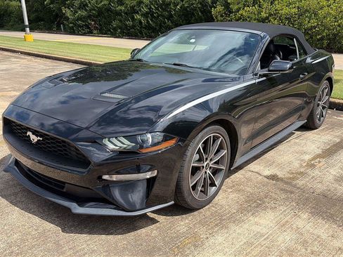 Used 2019 Ford Mustang Premium w/ Equipment Group 201A RWD image 1
