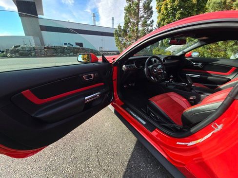 Used 2019 Ford Mustang Premium w/ Equipment Group 201A image 15