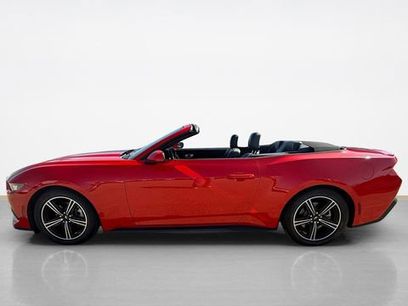Certified 2019 Ford Mustang Premium w/ Equipment Group 201A