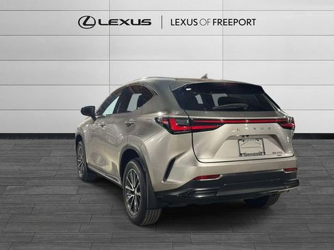 Used 2024 Lexus NX 350 AWD w/ Cold Area Package image 6