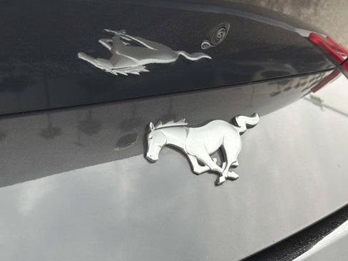 Certified 2024 Ford Mustang Premium RWD image 9
