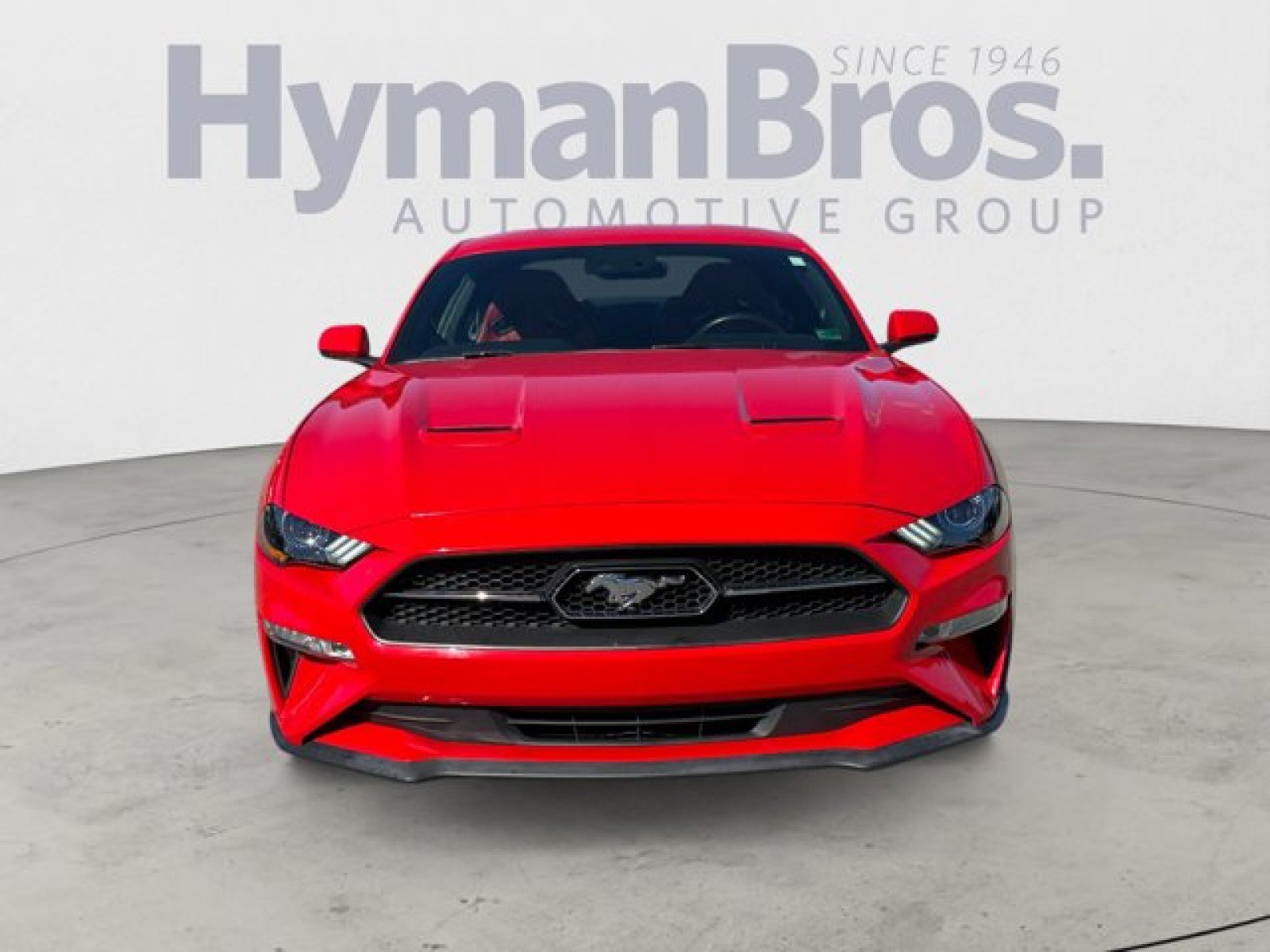Used 2019 Ford Mustang Premium w/ Equipment Group 201A RWD image 8