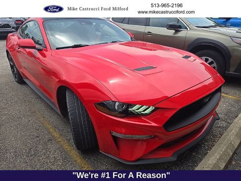 Used 2019 Ford Mustang Coupe w/ Equipment Group 101A RWD image 3