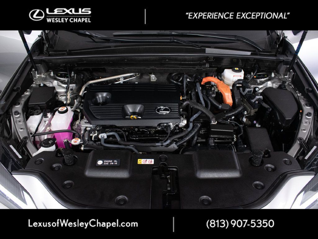 Used 2024 Lexus NX 350h AWD image 10