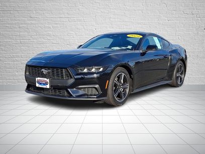 Used 2024 Ford Mustang Premium
