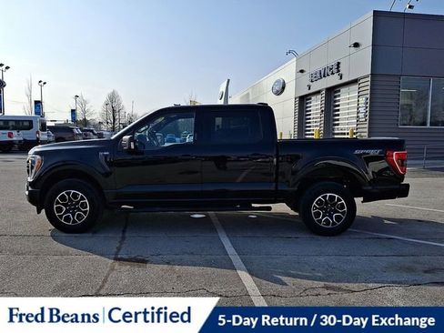 Certified 2023 Ford F150 XLT w/ Equipment Group 302A High image 7