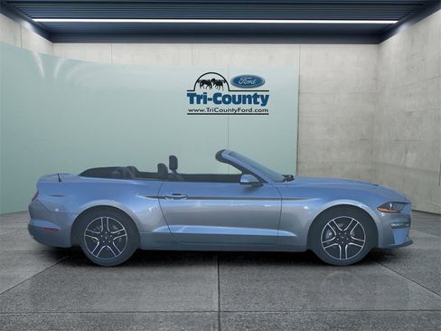 Used 2022 Ford Mustang Premium image 10